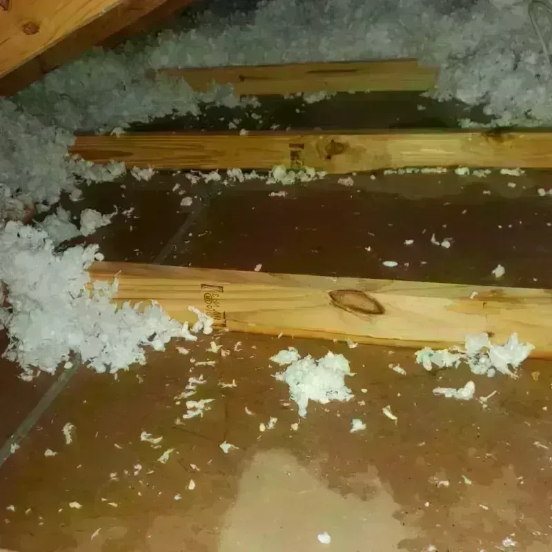 Attic Water Damage in Hoisington, KS